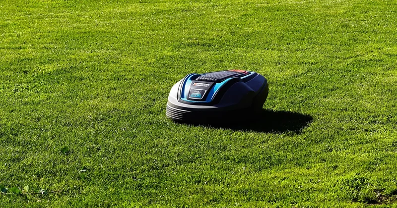 Quel est le prix moyen d'un entretien de jardin annuel ?