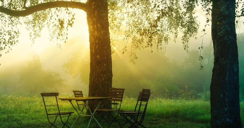 Matériaux et éclairage : la différence entre « beau » et « prestigieux »