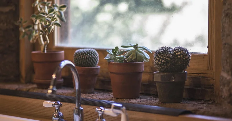 Comment rendre une cuisine moderne chaleureuse ?